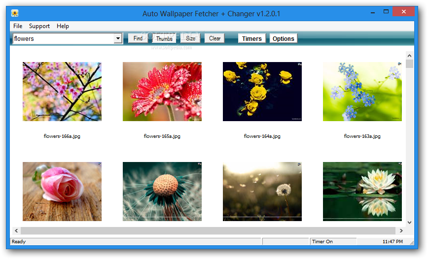 Flowers Pro With Serial Key (100% Working) Free Download Latest